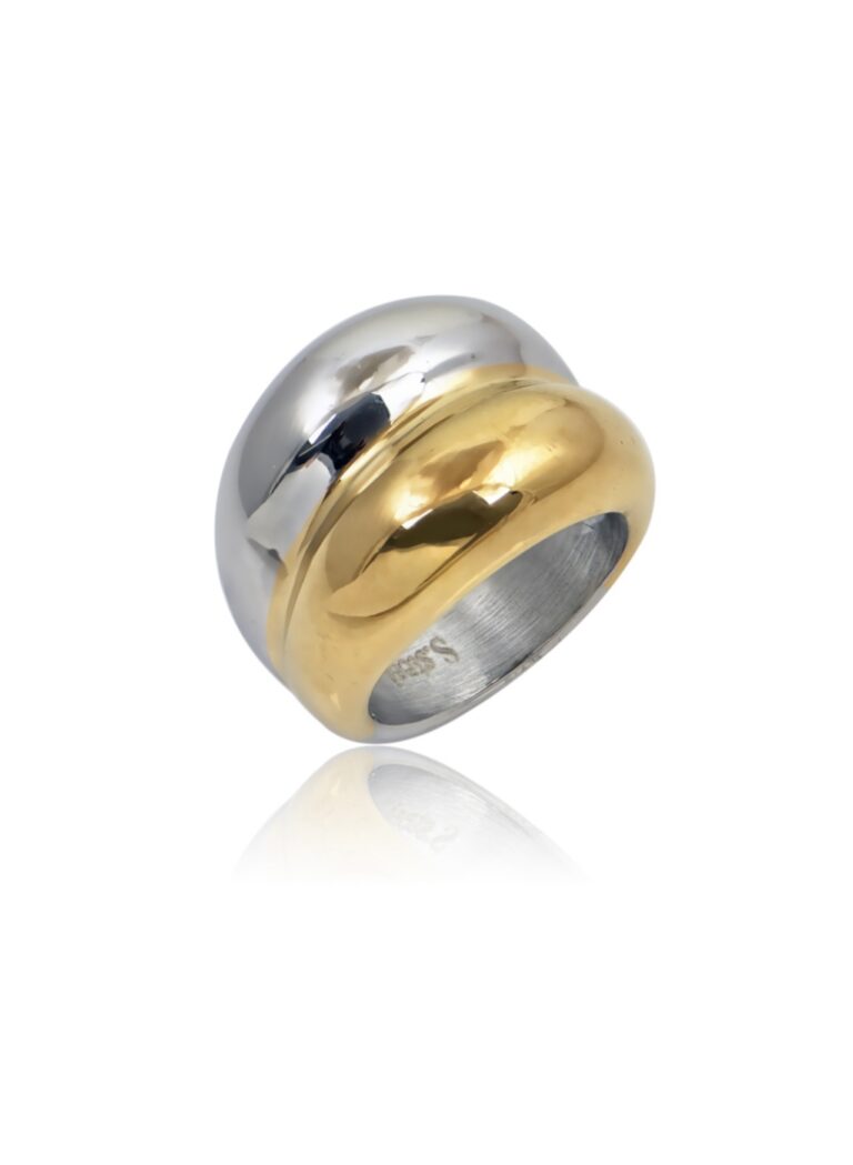 Silver and gold ring